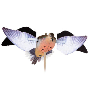 AvianX Powerflight Dove / Pigeon