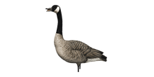 Load image into Gallery viewer, AvianX AXP Honkers Fusion Pack
