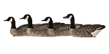 Load image into Gallery viewer, AvianX Topflight Honker Floaters Flocked Heads

