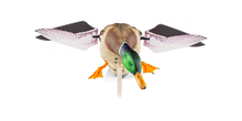 Load image into Gallery viewer, Avian-X  Powerflight Mallard Spinning Wing Duck
