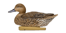 Load image into Gallery viewer, Avian-X Topflight Pintails
